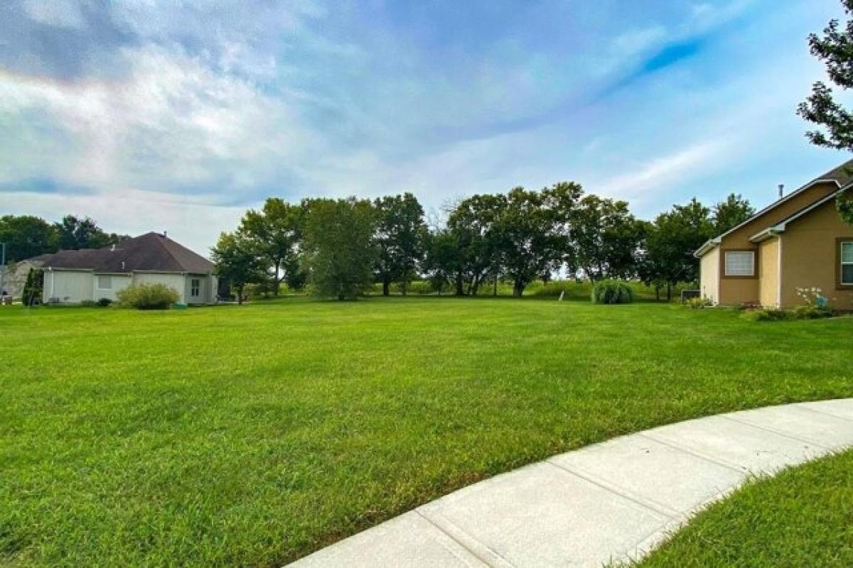 Picture of Residential Land For Sale in Raymore, Missouri, United States