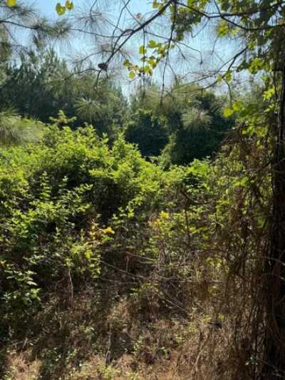 Residential Land For Sale in 