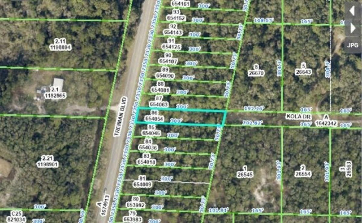 Picture of Residential Land For Sale in Webster, Florida, United States