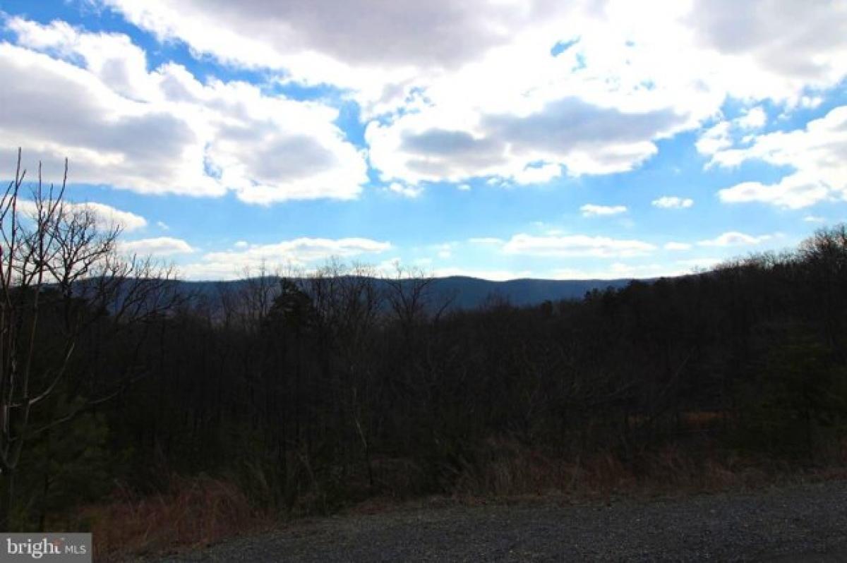 Picture of Residential Land For Sale in Fort Valley, Virginia, United States