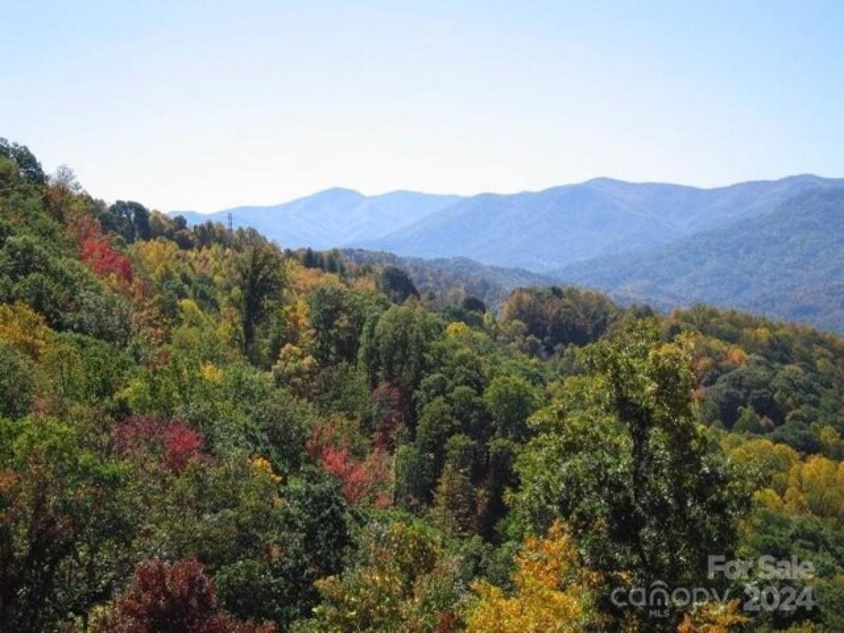 Picture of Residential Land For Sale in Clyde, North Carolina, United States