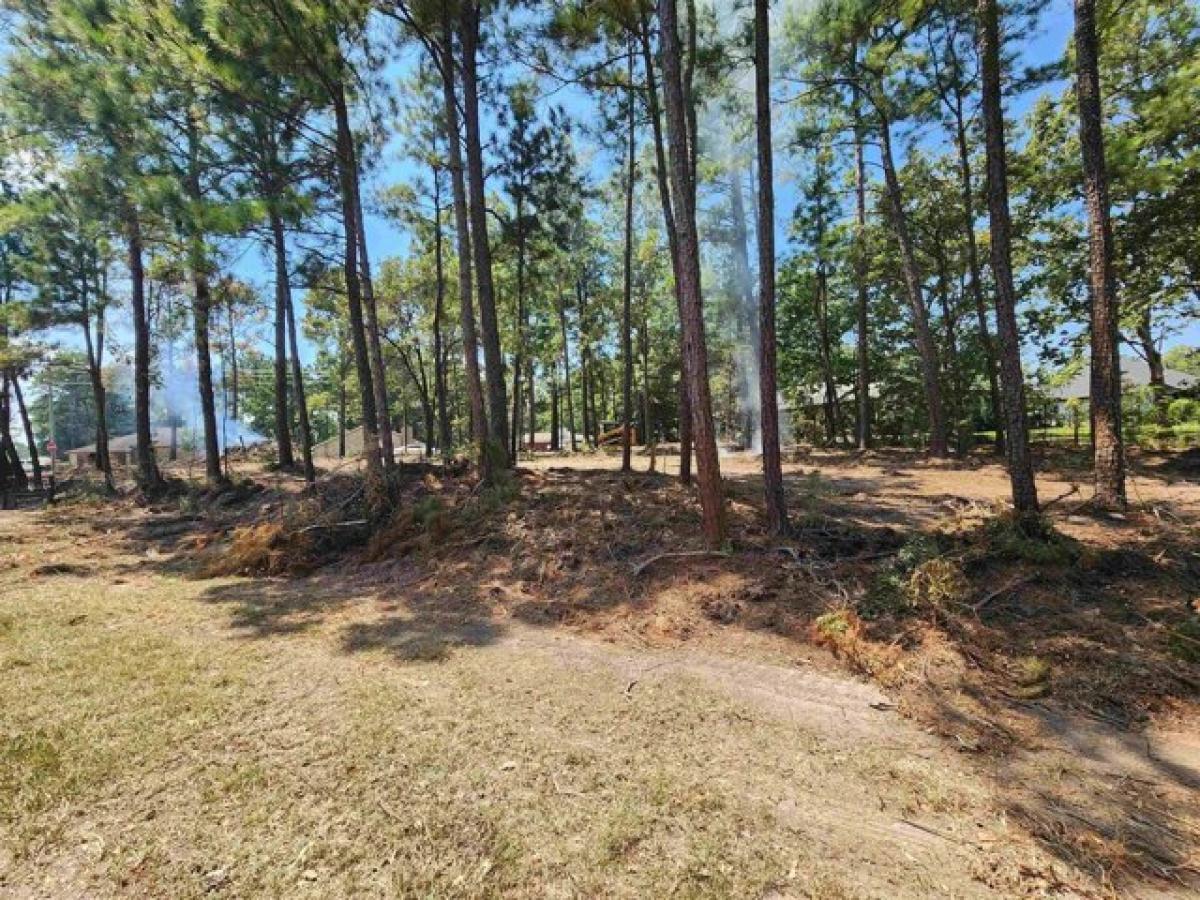 Picture of Residential Land For Sale in Brookeland, Texas, United States