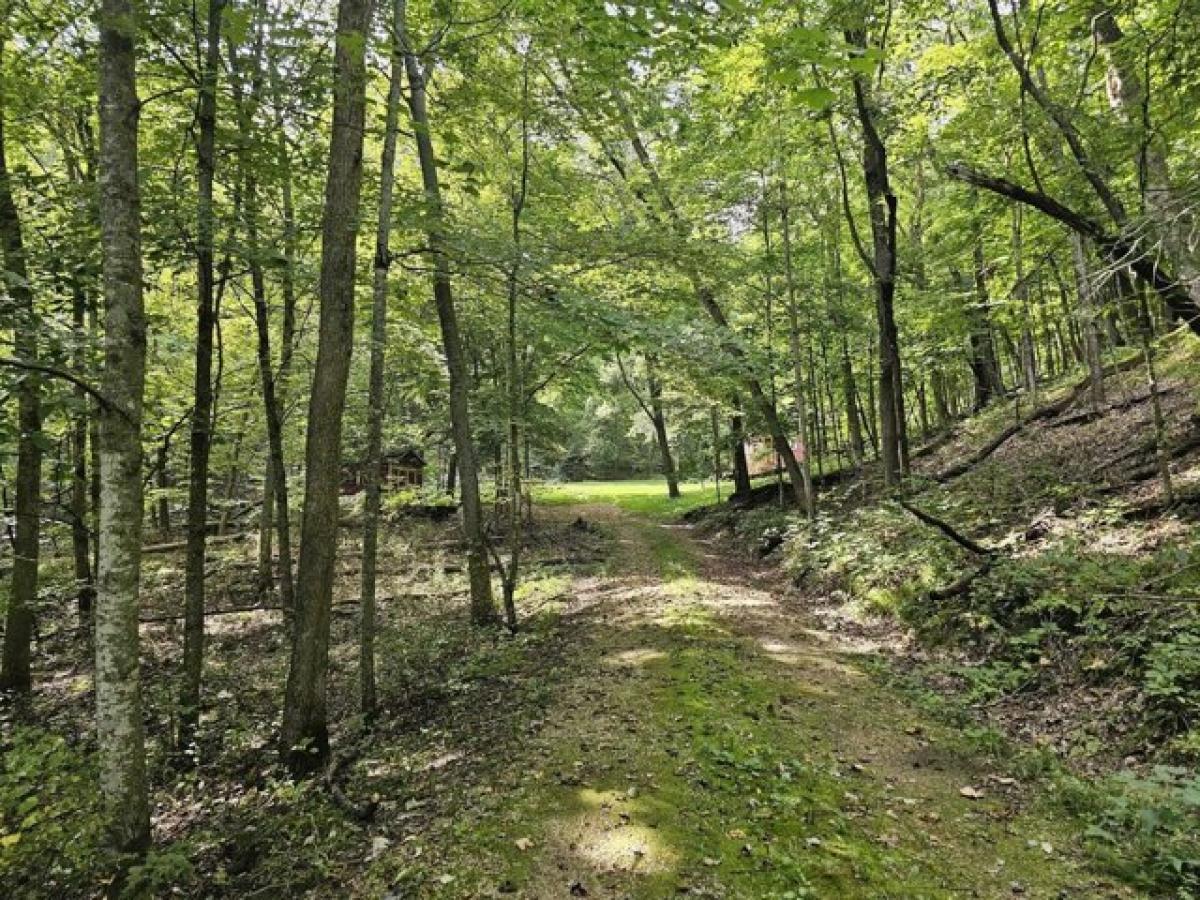 Picture of Home For Sale in Readstown, Wisconsin, United States