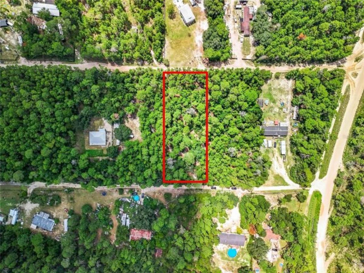 Picture of Residential Land For Sale in Paisley, Florida, United States