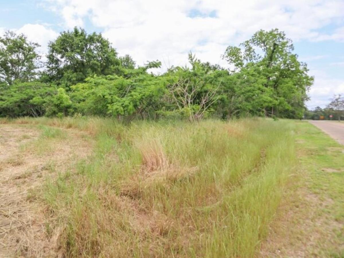 Picture of Residential Land For Sale in Taylor, Alabama, United States