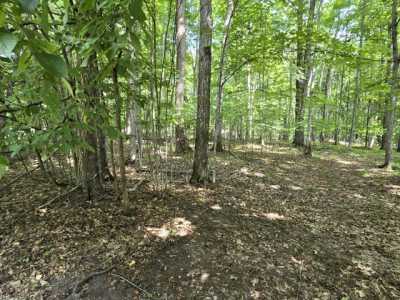 Residential Land For Sale in Vanderbilt, Michigan