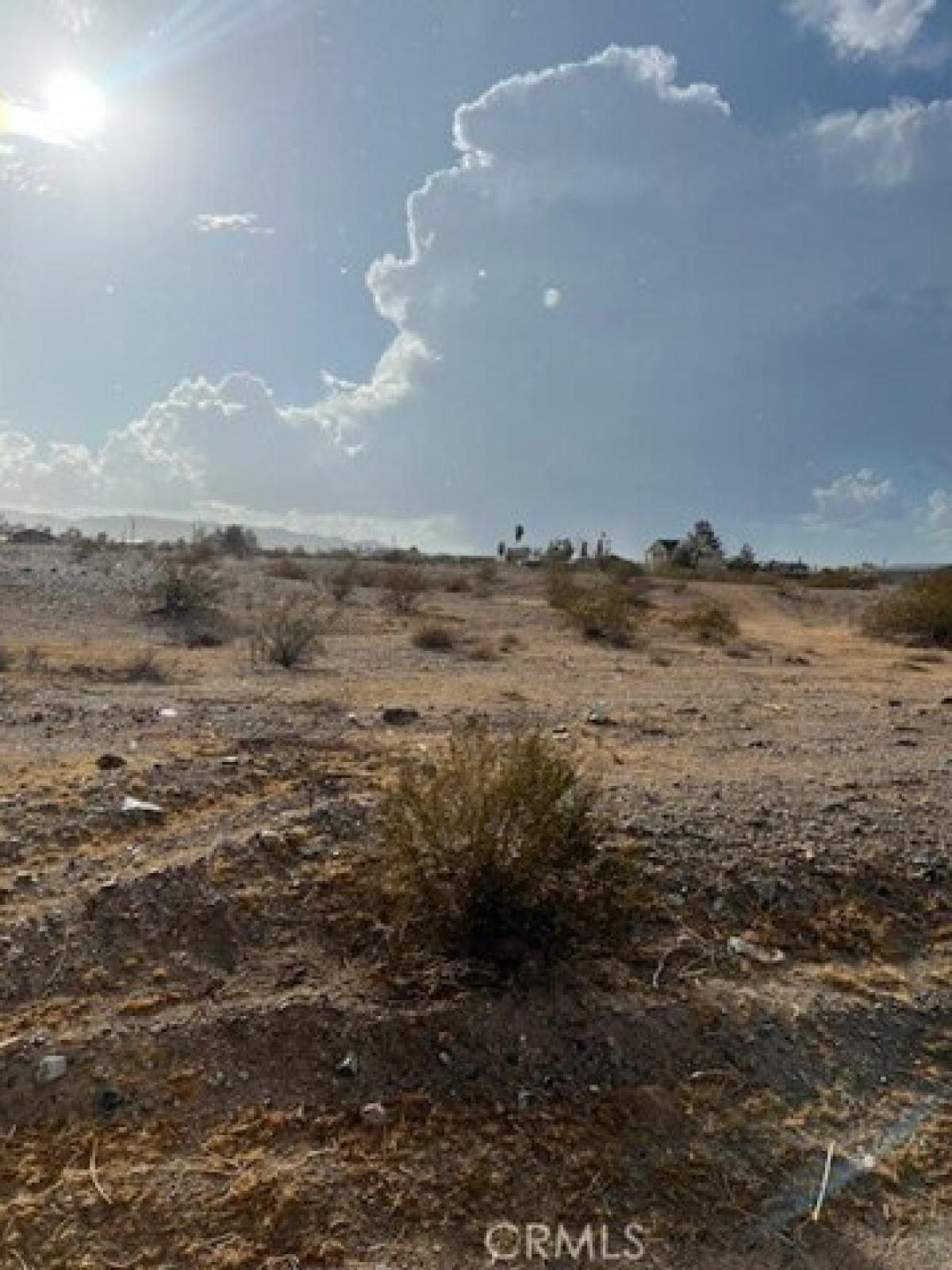 Picture of Residential Land For Sale in Needles, California, United States