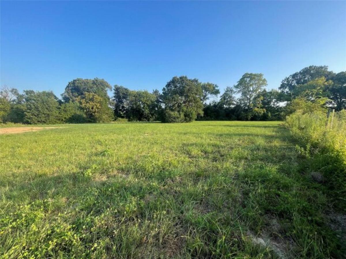 Picture of Home For Sale in Ben Wheeler, Texas, United States