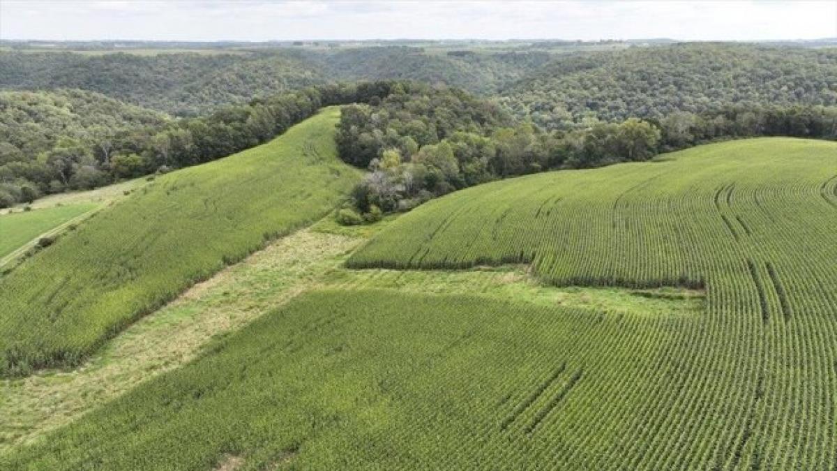 Picture of Residential Land For Sale in Viroqua, Wisconsin, United States