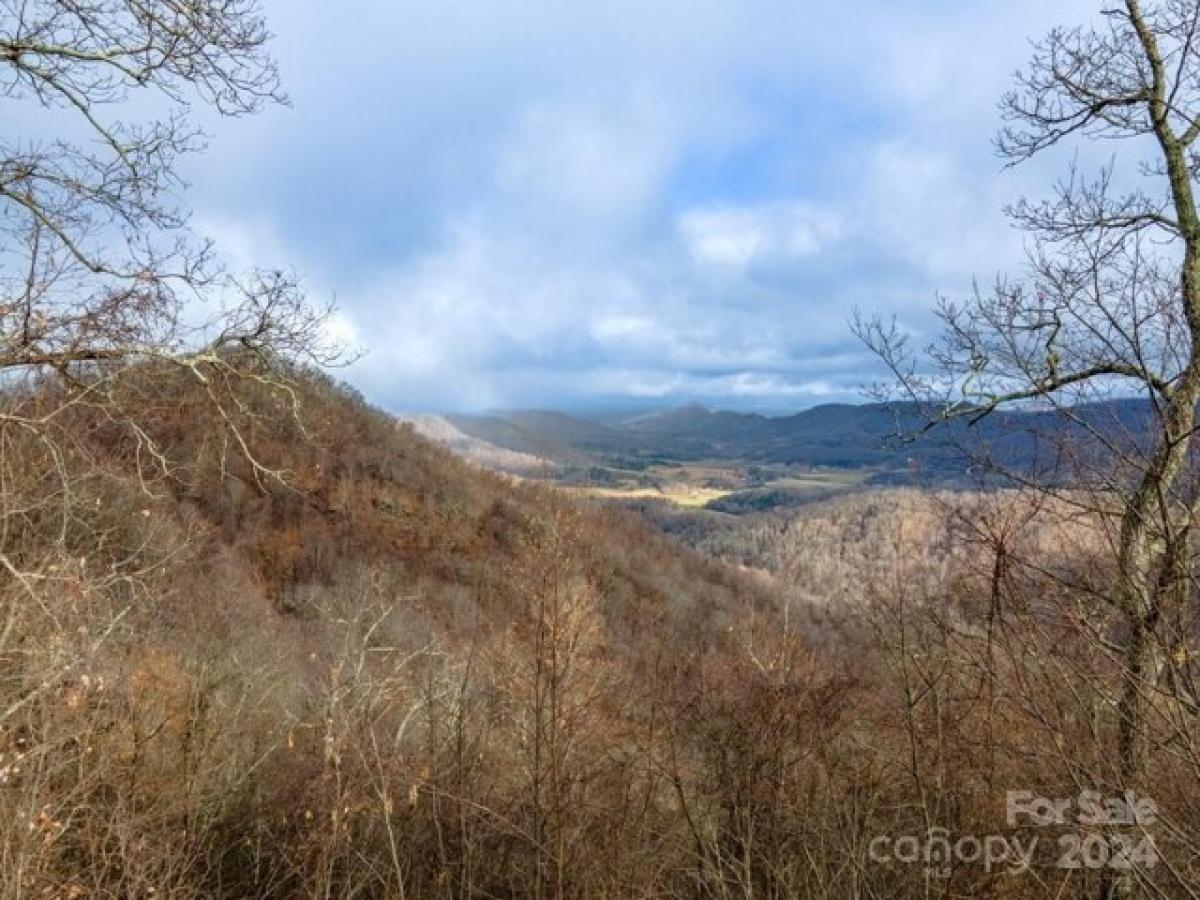 Picture of Residential Land For Sale in Clyde, North Carolina, United States