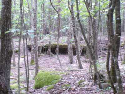 Residential Land For Sale in Spencer, Tennessee