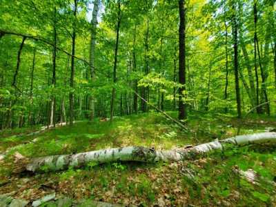 Residential Land For Sale in Mio, Michigan