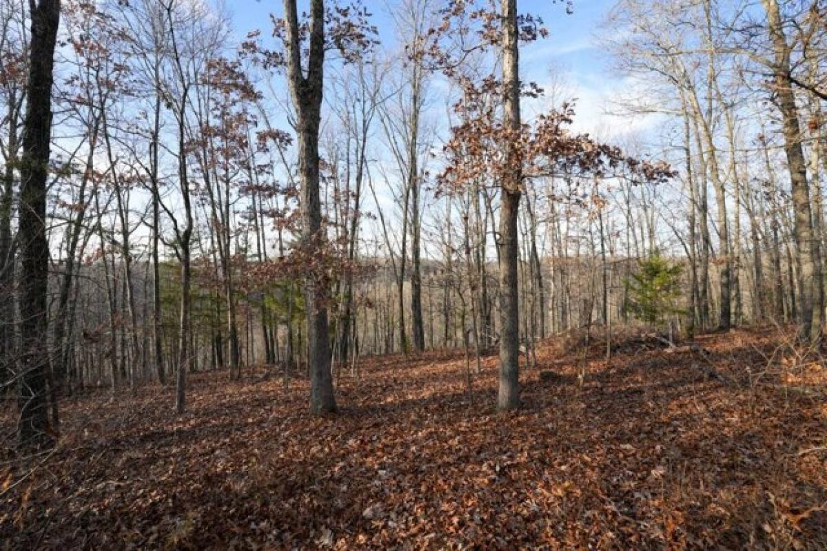 Picture of Residential Land For Sale in Ozark, Missouri, United States