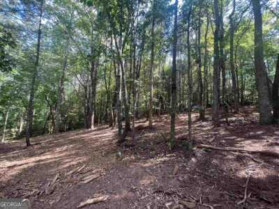 Residential Land For Sale in Cleveland, Georgia