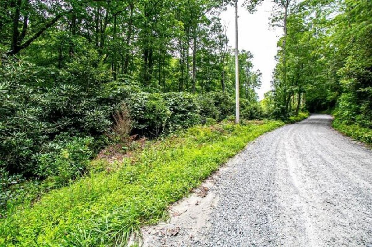 Picture of Residential Land For Sale in Brevard, North Carolina, United States