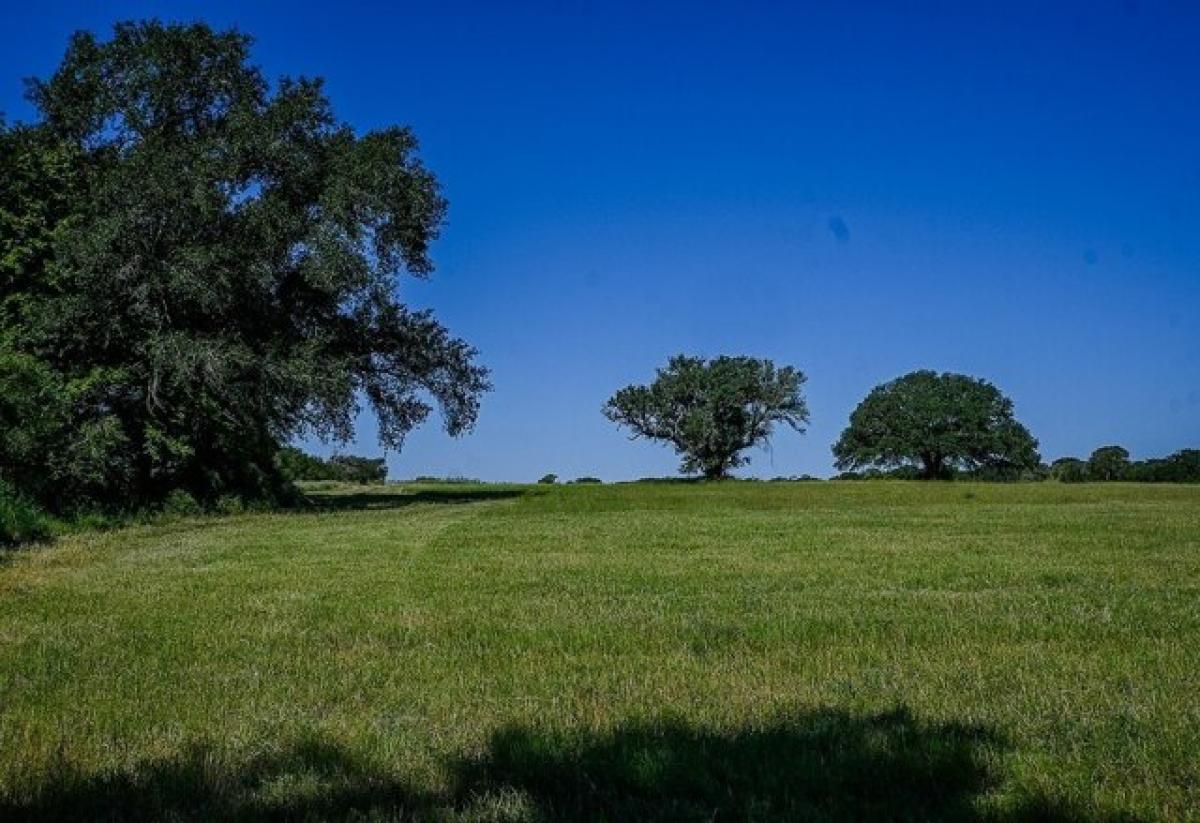 Picture of Residential Land For Sale in Hallettsville, Texas, United States