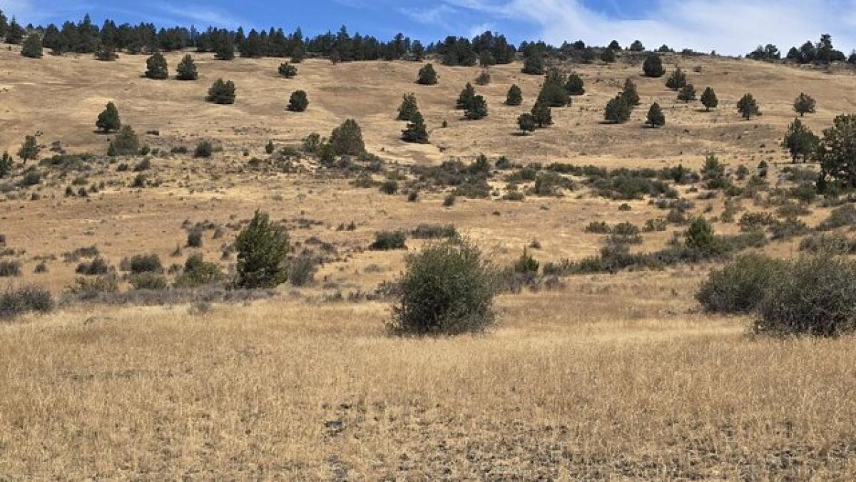 Picture of Residential Land For Sale in Klamath Falls, Oregon, United States