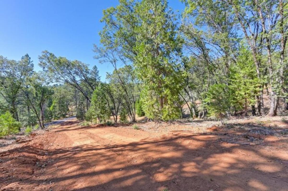 Picture of Residential Land For Sale in Grass Valley, California, United States