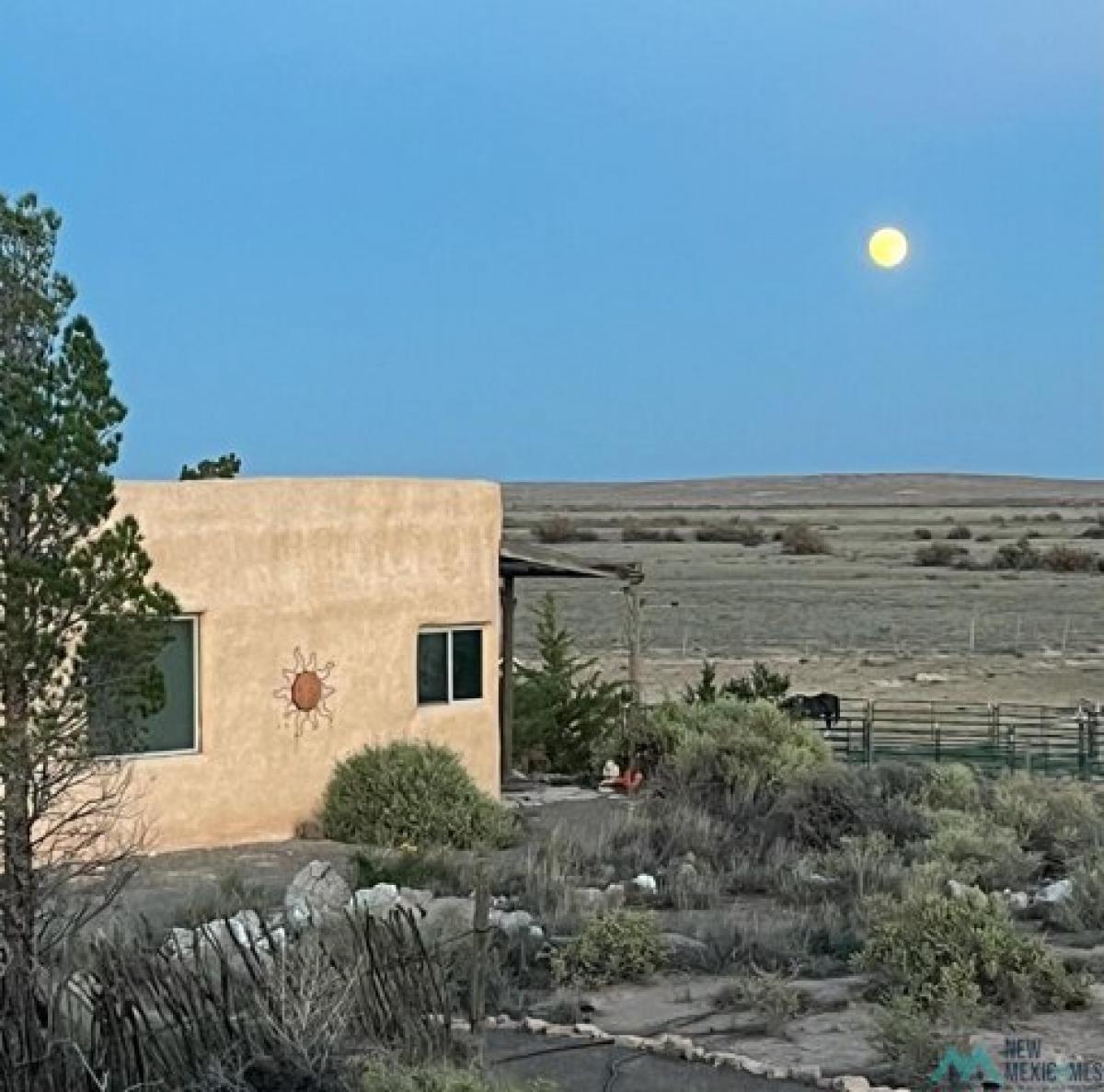 Picture of Residential Land For Sale in Roswell, New Mexico, United States