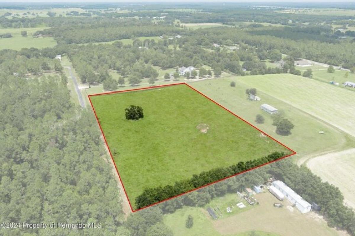 Picture of Residential Land For Sale in Brooksville, Florida, United States