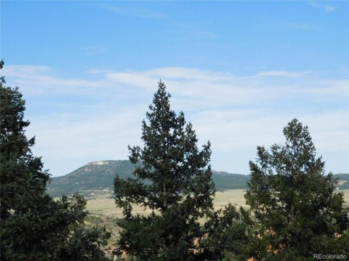 Picture of Residential Land For Sale in Larkspur, Colorado, United States