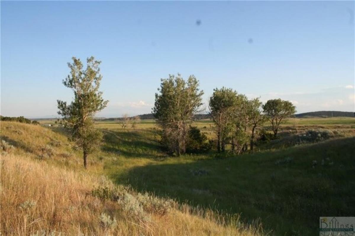 Picture of Home For Sale in Reed Point, Montana, United States