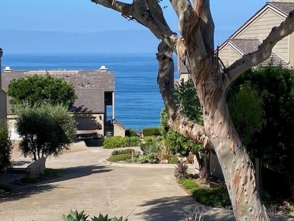 Picture of Home For Rent in Del Mar, California, United States