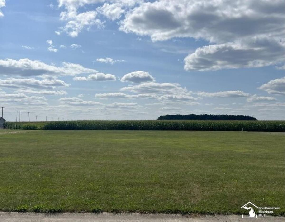 Picture of Residential Land For Sale in Deerfield, Michigan, United States