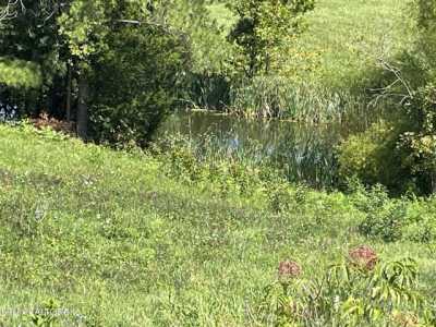 Residential Land For Sale in Mosheim, Tennessee