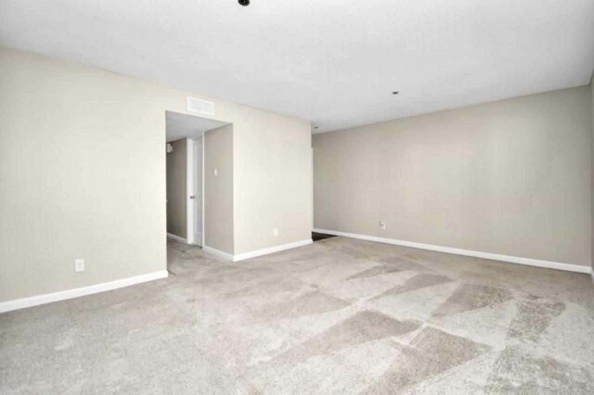 Picture of Apartment For Rent in League City, Texas, United States