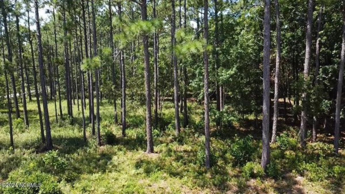 Picture of Residential Land For Sale in Southport, North Carolina, United States