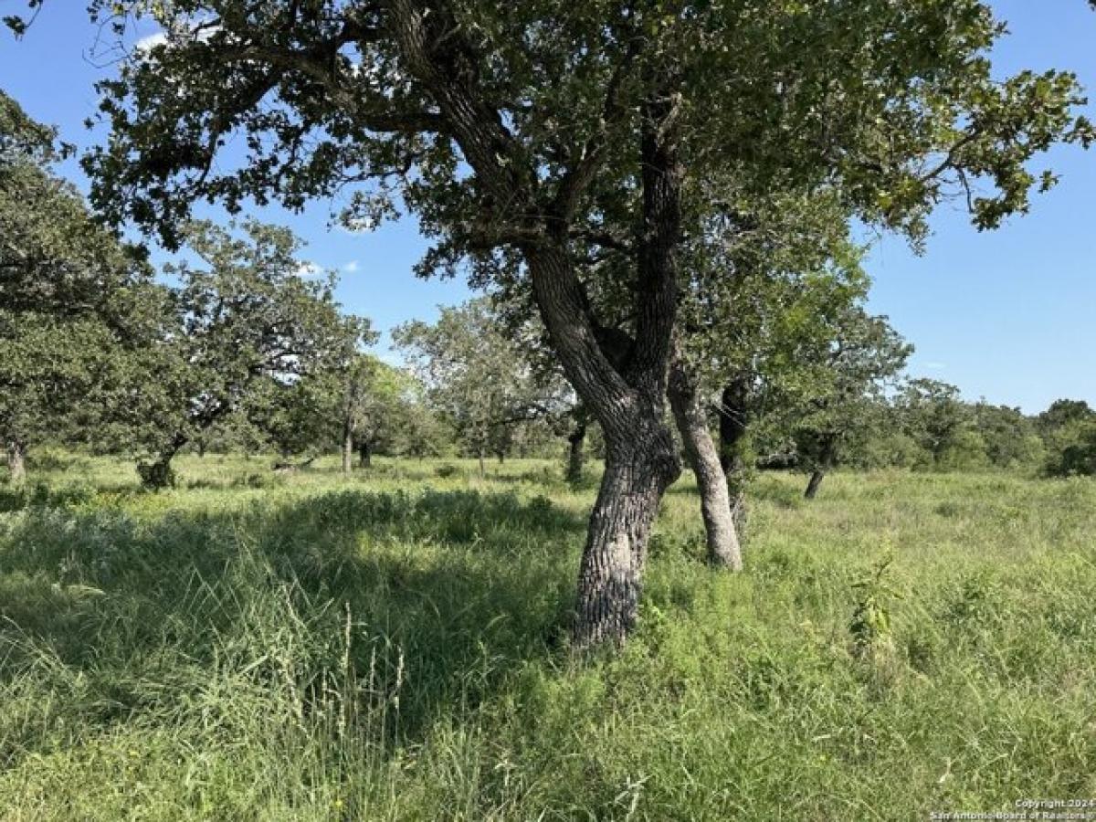 Picture of Residential Land For Sale in Gillett, Texas, United States