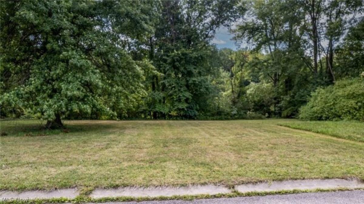 Picture of Residential Land For Rent in Niles, Ohio, United States