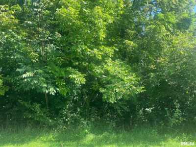 Residential Land For Rent in Mackinaw, Illinois