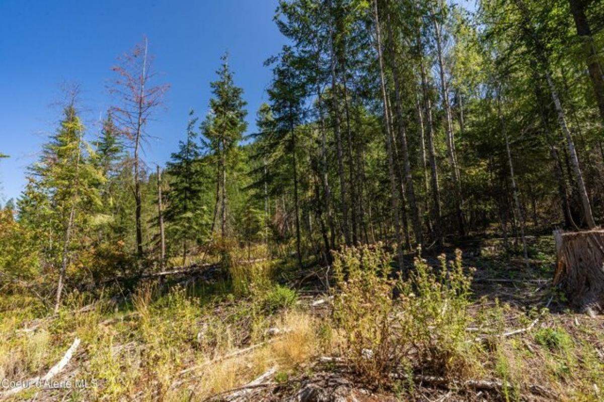 Picture of Residential Land For Sale in Bonners Ferry, Idaho, United States