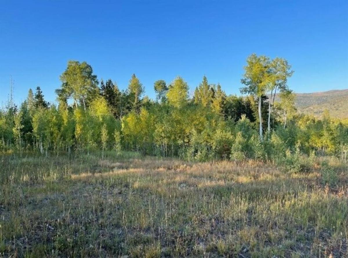 Picture of Residential Land For Sale in Oak Creek, Colorado, United States