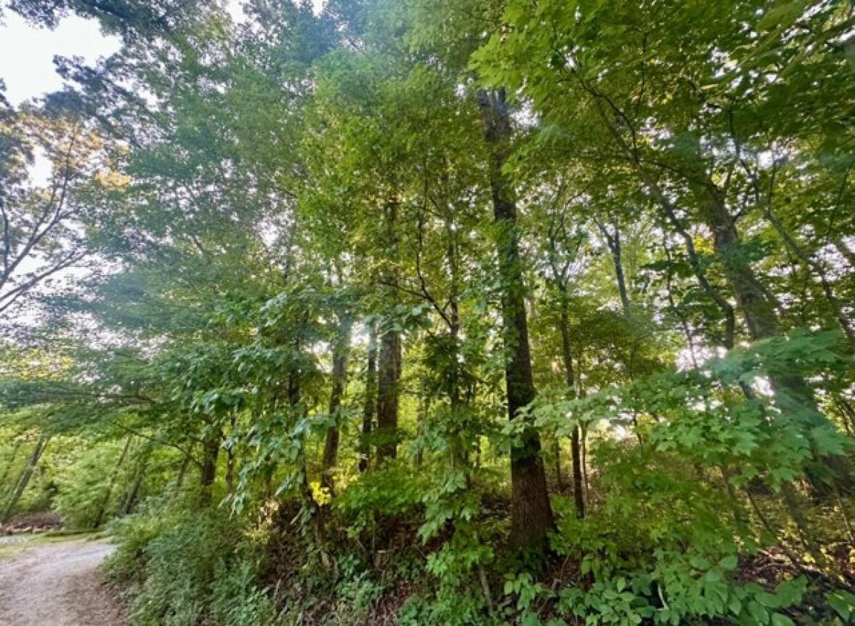 Picture of Residential Land For Sale in Spring City, Tennessee, United States