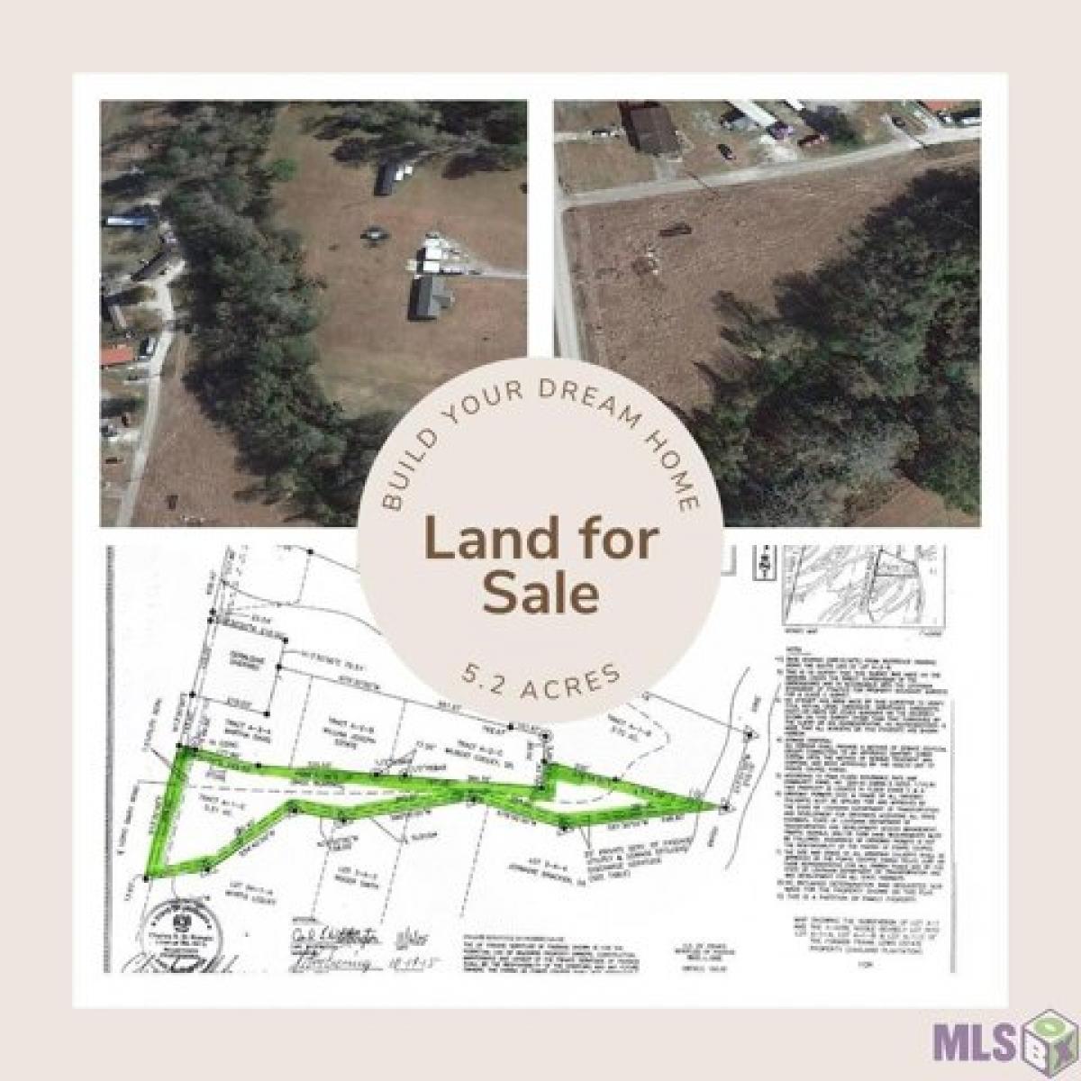 Picture of Residential Land For Sale in Lakeland, Louisiana, United States