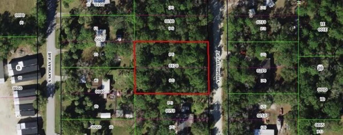 Picture of Residential Land For Sale in Homosassa, Florida, United States