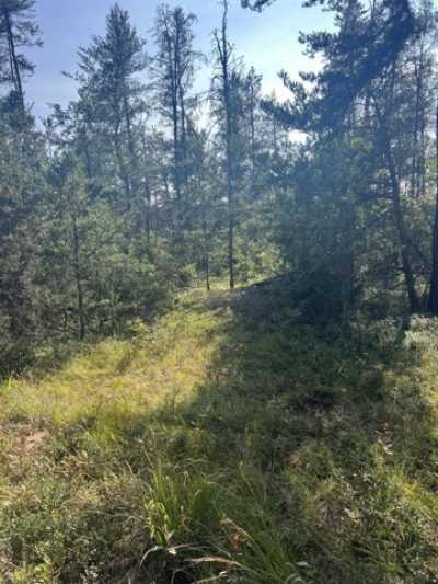 Residential Land For Sale in Grayling, Michigan