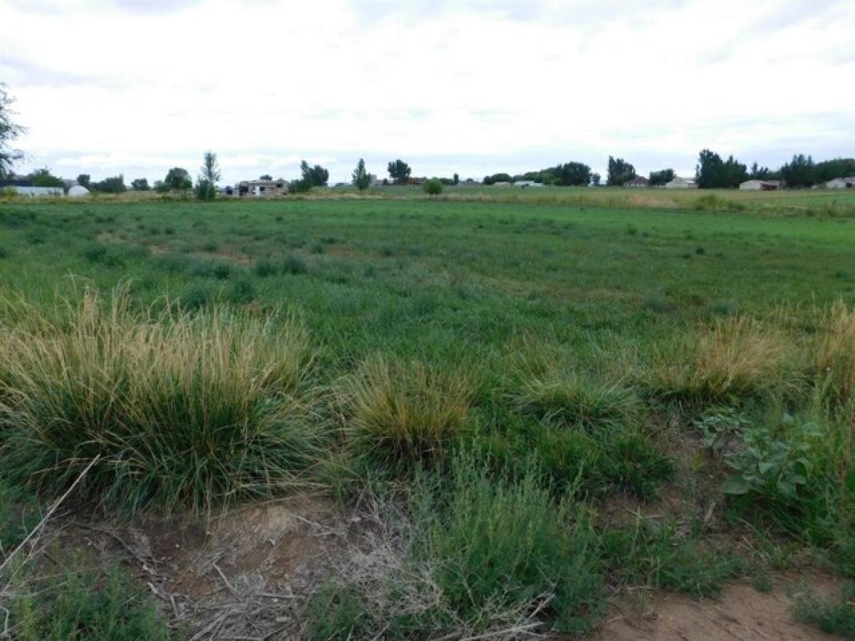 Picture of Residential Land For Sale in Loma, Colorado, United States