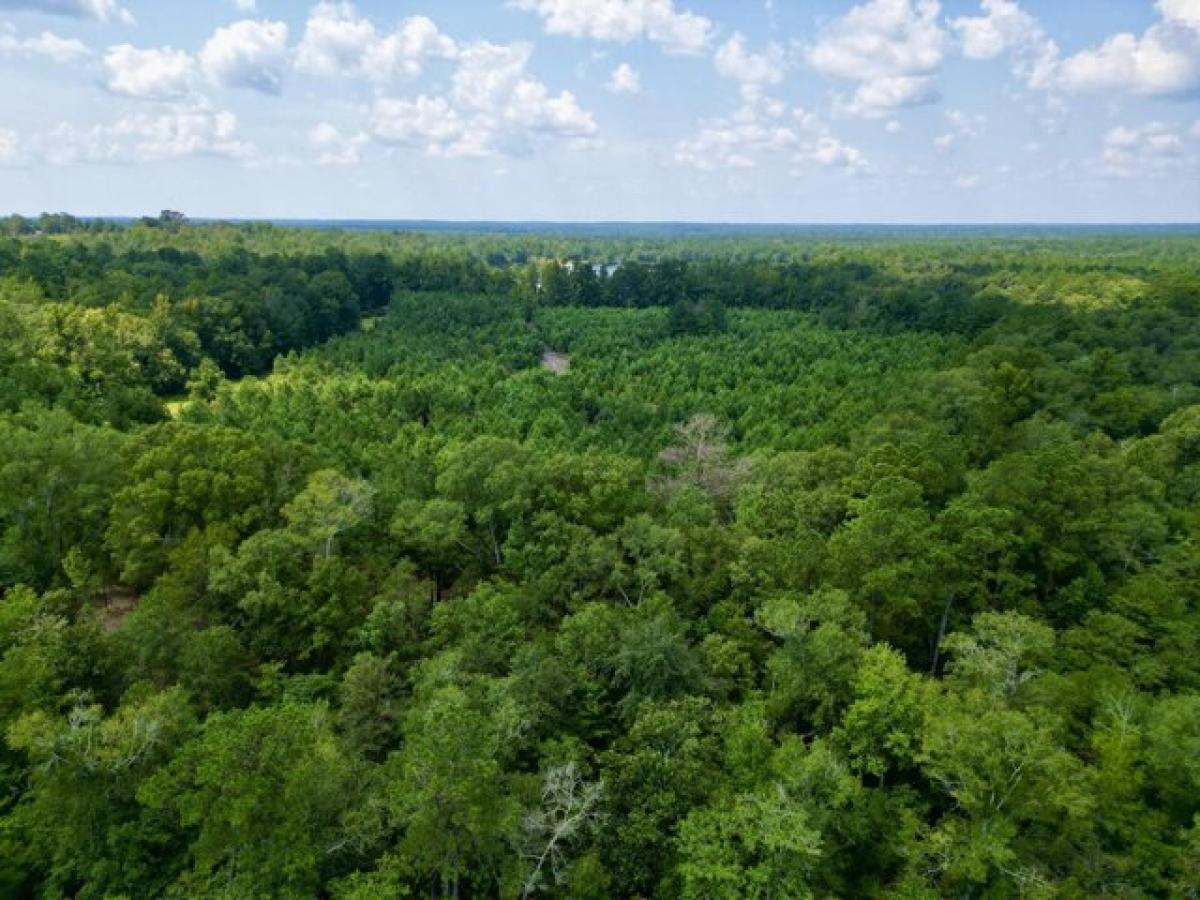 Picture of Residential Land For Sale in Poplarville, Mississippi, United States