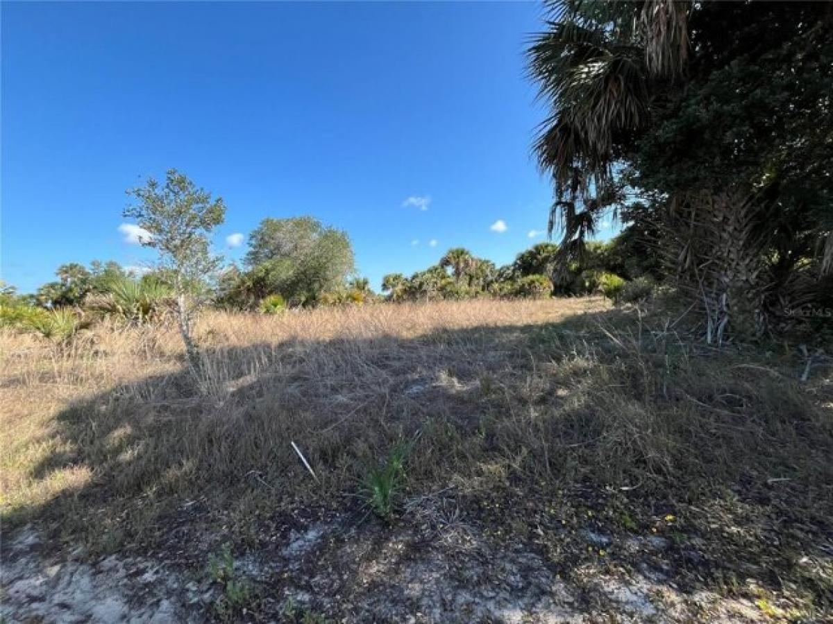 Picture of Residential Land For Sale in Okeechobee, Florida, United States