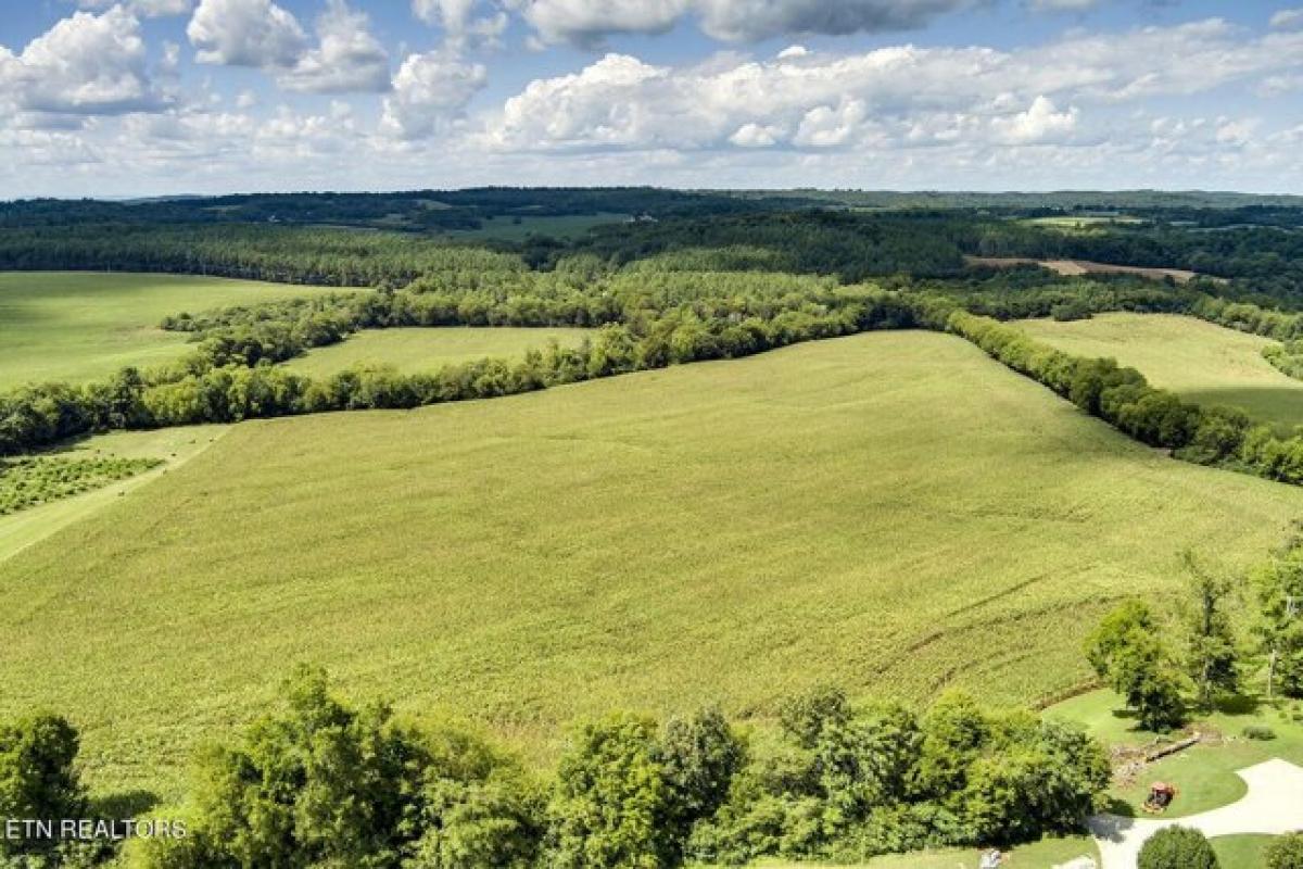 Picture of Residential Land For Sale in Athens, Tennessee, United States