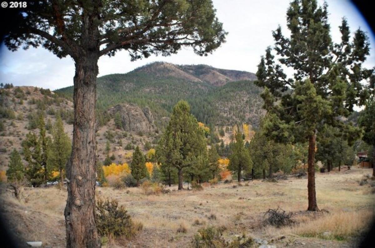 Picture of Residential Land For Sale in Canyon City, Oregon, United States