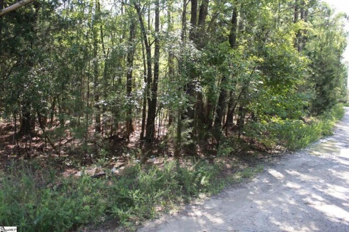 Picture of Residential Land For Sale in Clinton, South Carolina, United States