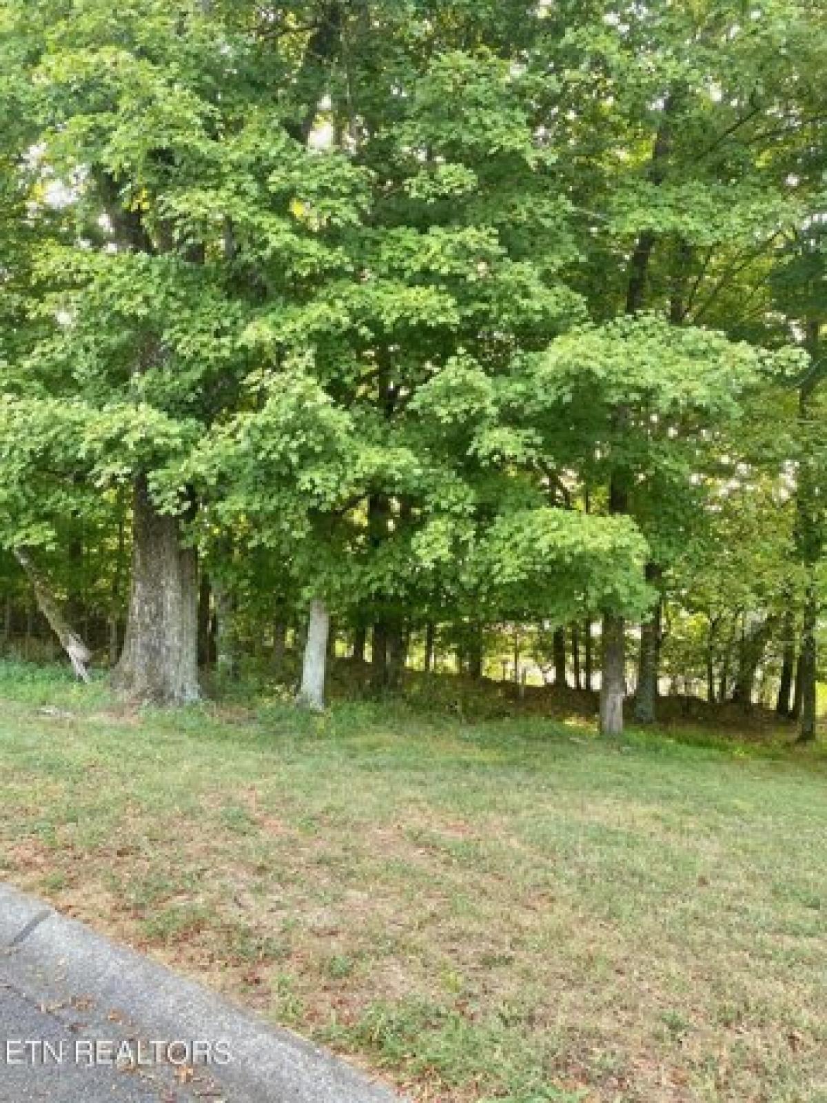 Picture of Residential Land For Sale in Loudon, Tennessee, United States