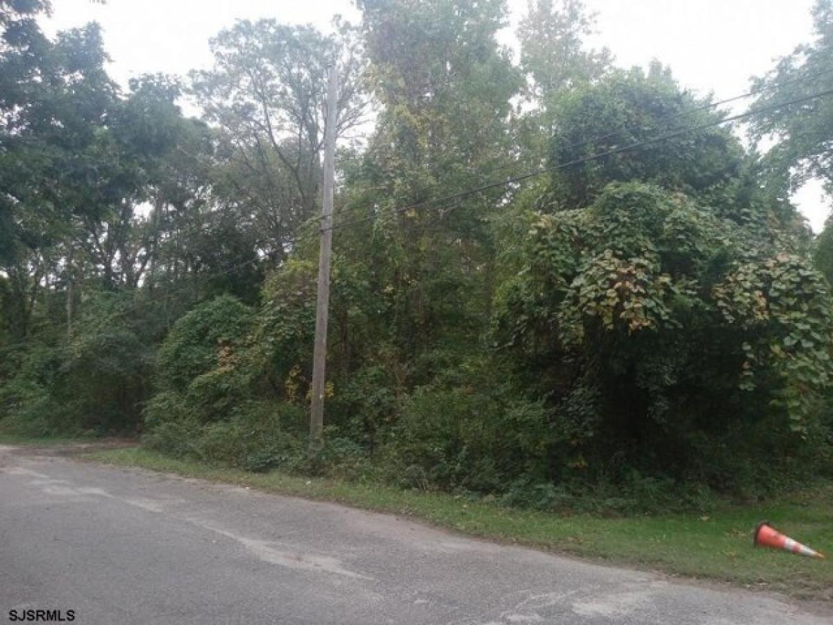 Picture of Residential Land For Sale in Cape May Court House, New Jersey, United States