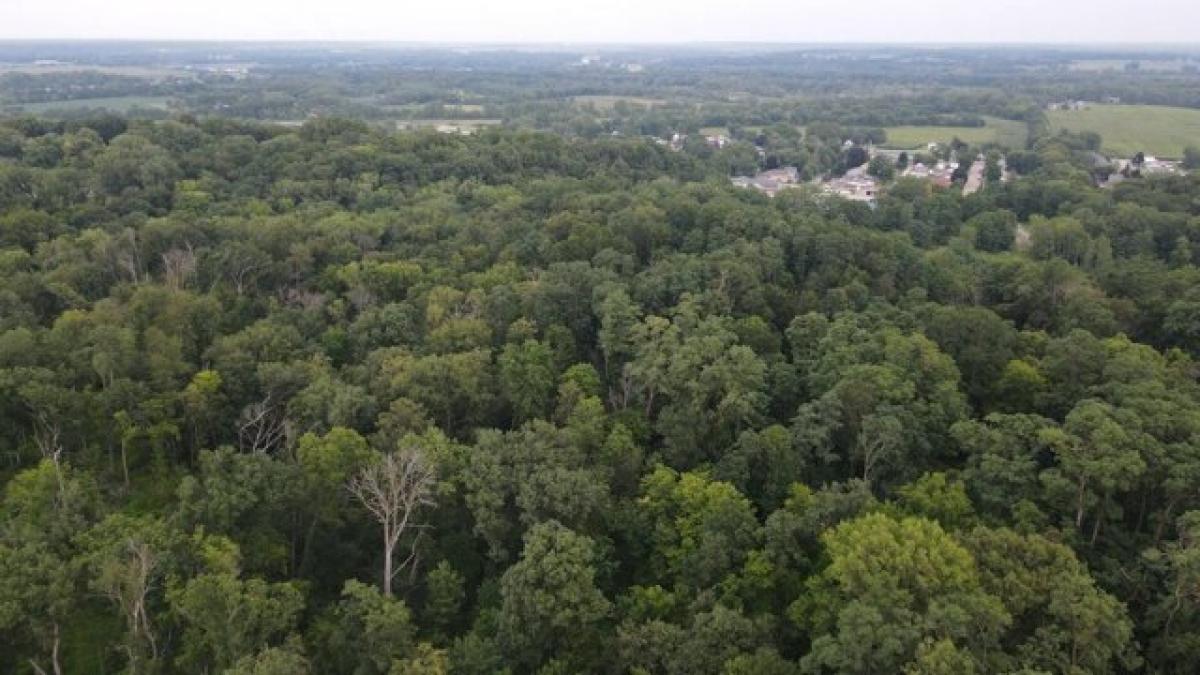 Picture of Residential Land For Rent in Carbon Cliff, Illinois, United States