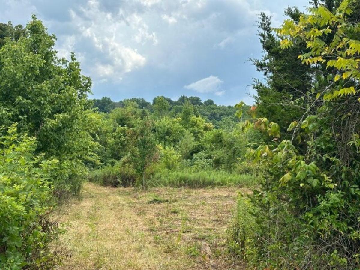 Picture of Home For Sale in Burkesville, Kentucky, United States